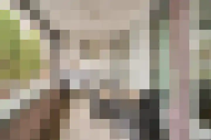 Kruisstraat 11 Deurne thumbnail 20