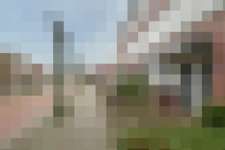Kruisstraat 11 Deurne thumbnail 5