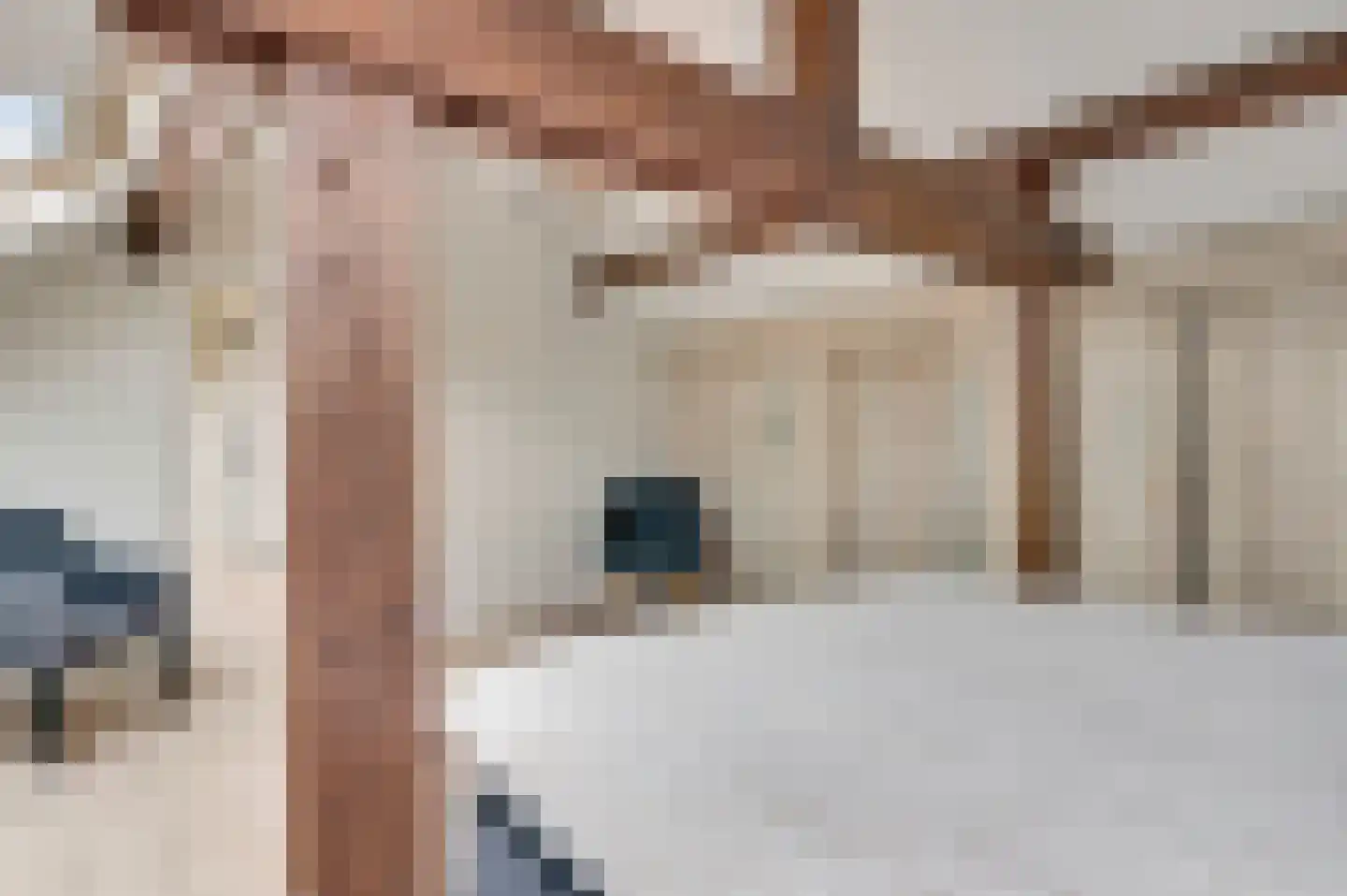 Kruisstraat 11 Valkenburg thumbnail 22