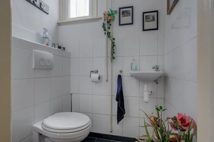 Kruisstraat 12 Dieren thumbnail 12