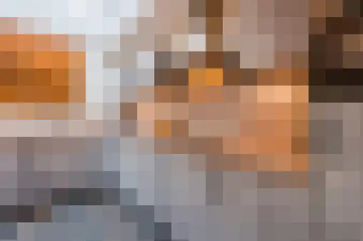 Kruisstraat 12 Duizel thumbnail 22
