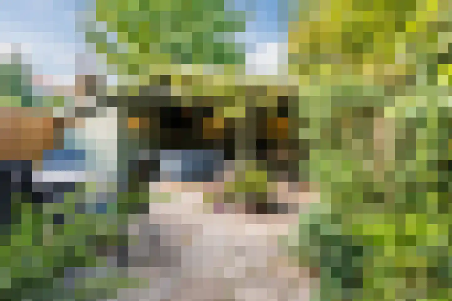 Kruisstraat 12 Duizel thumbnail 53