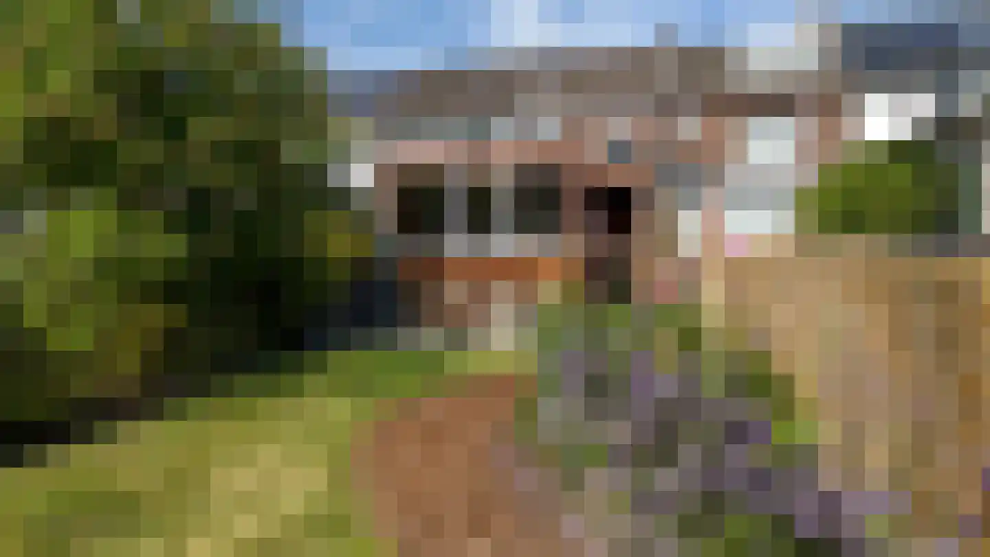 Kruisstraat 12 Kerkrade thumbnail 25