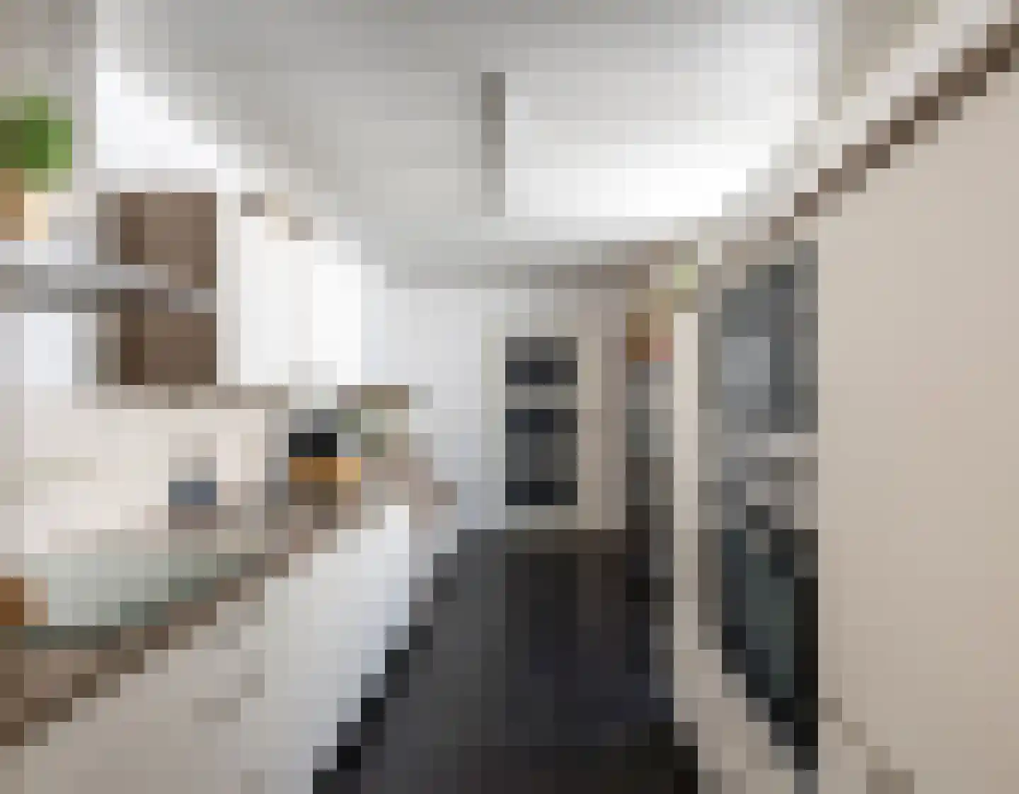 Kruisstraat 12 Kerkrade thumbnail 8