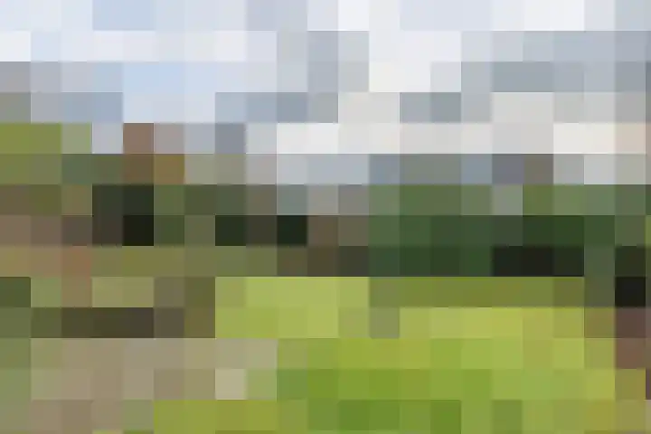 Kruisstraat 12 Munstergeleen thumbnail 28