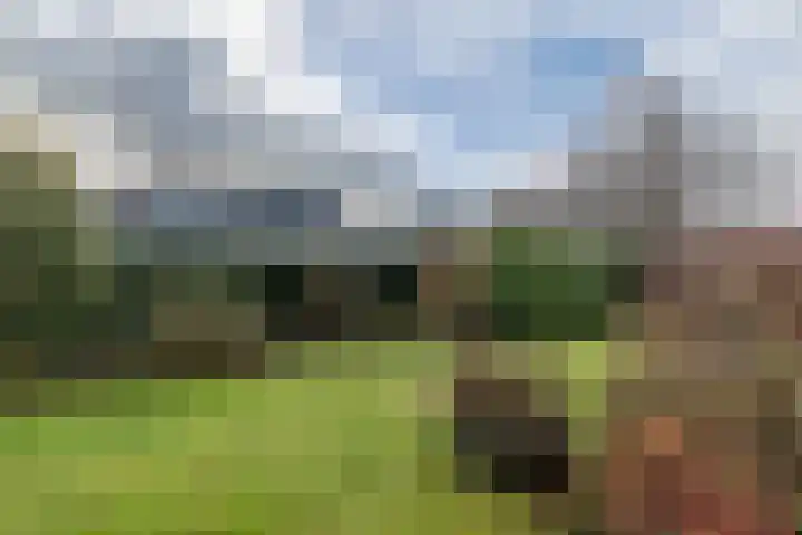 Kruisstraat 12 Munstergeleen thumbnail 29
