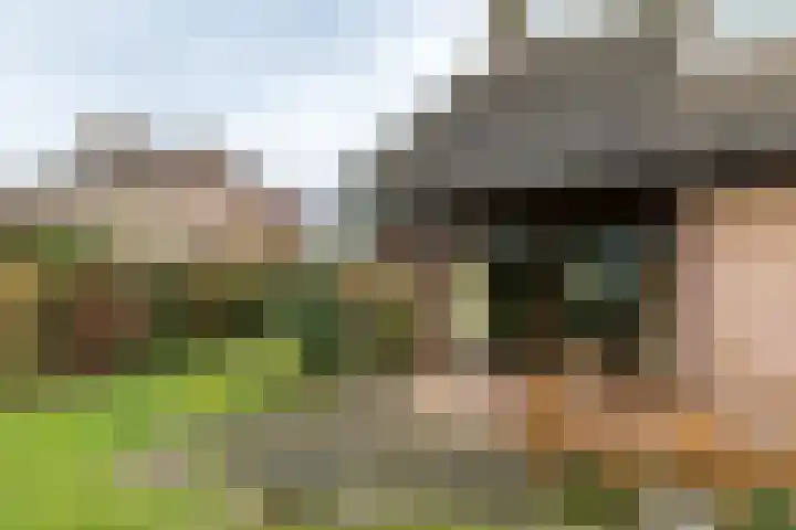 Kruisstraat 12 Munstergeleen thumbnail 30