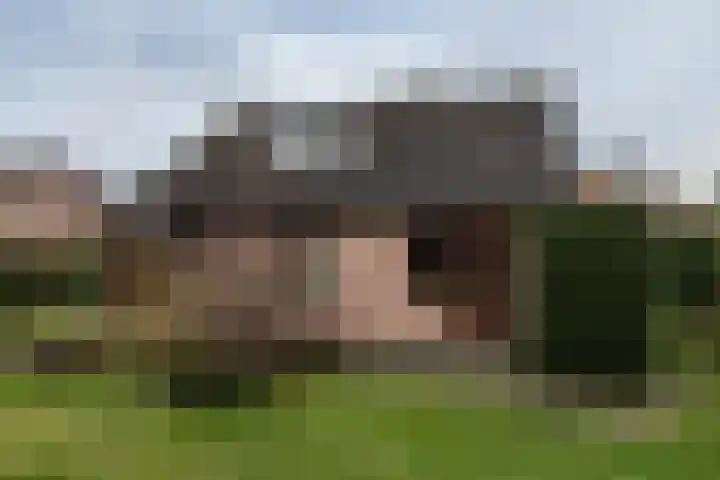 Kruisstraat 12 Munstergeleen thumbnail 33