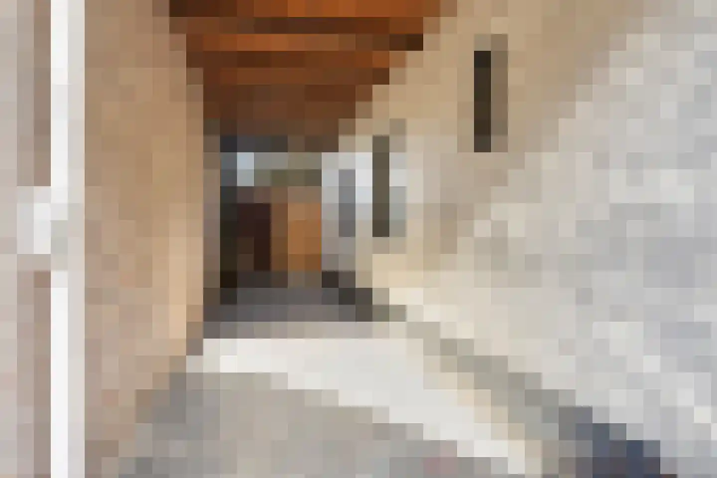 Kruisstraat 12 Oldemarkt thumbnail 30