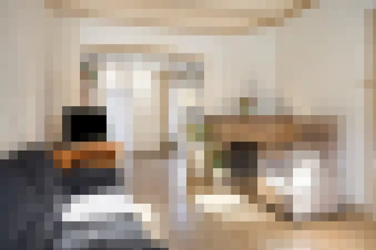 Kruisstraat 12 Oldemarkt thumbnail 4