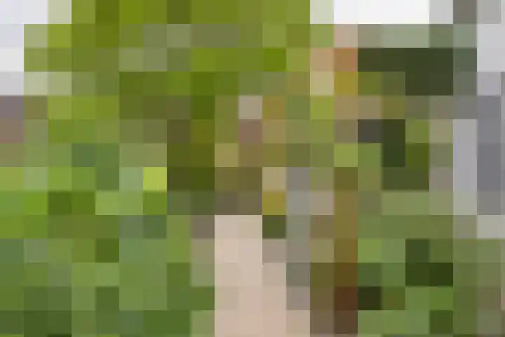 Kruisstraat 12 Werkendam thumbnail 10