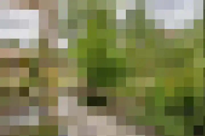 Kruisstraat 12 Werkendam thumbnail 11