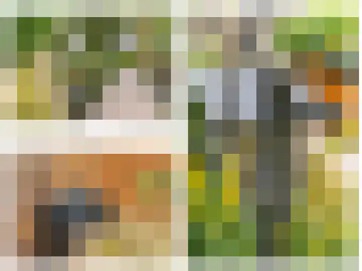 Kruisstraat 12 Werkendam thumbnail 12