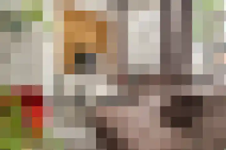 Kruisstraat 12 Werkendam thumbnail 5