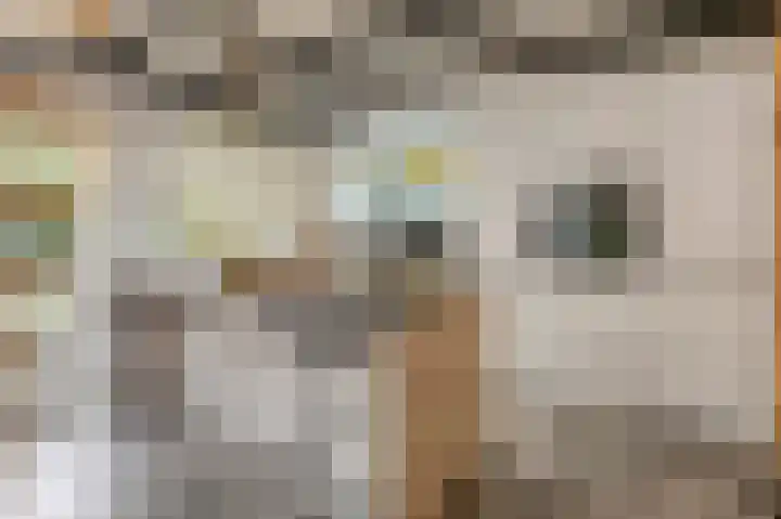 Kruisstraat 12 Werkendam thumbnail 8