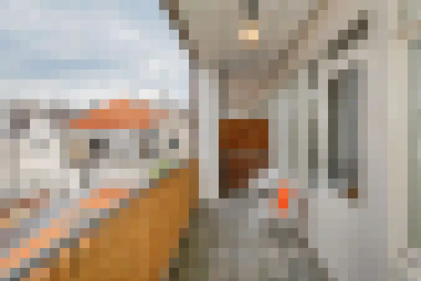 Kruisstraat 13 B 's-Hertogenbosch thumbnail 16