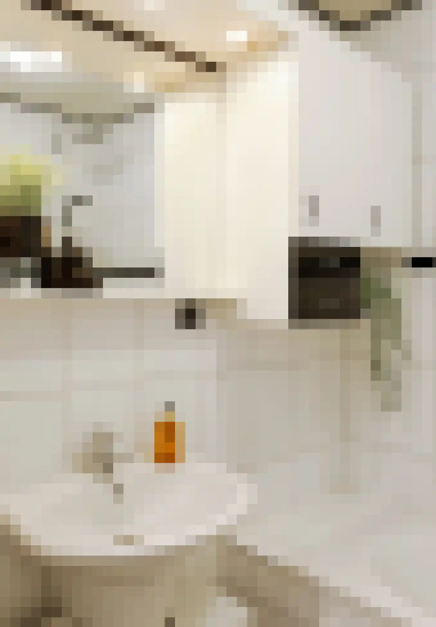 Kruisstraat 13 B 's-Hertogenbosch thumbnail 21