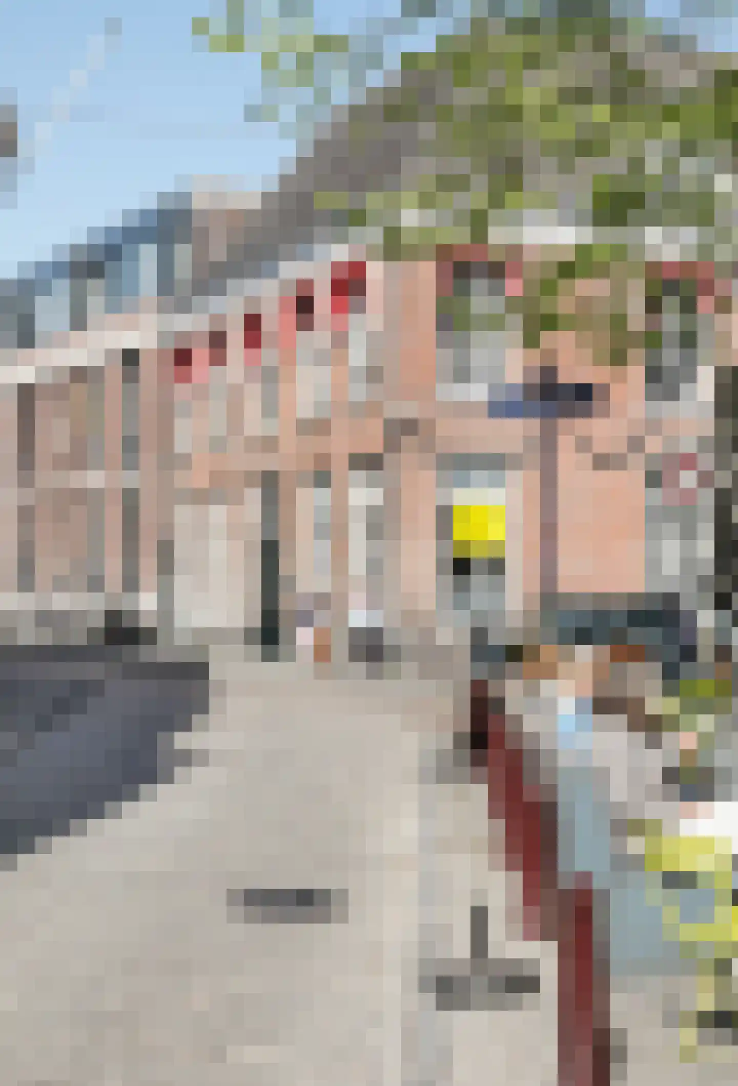 Kruisstraat 13 B 's-Hertogenbosch thumbnail 31