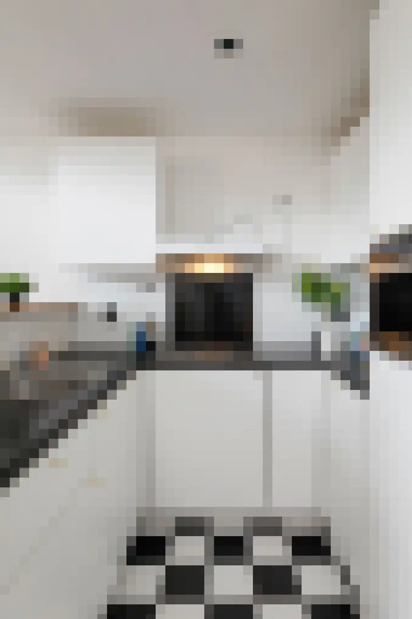 Kruisstraat 13 B 's-Hertogenbosch thumbnail 7
