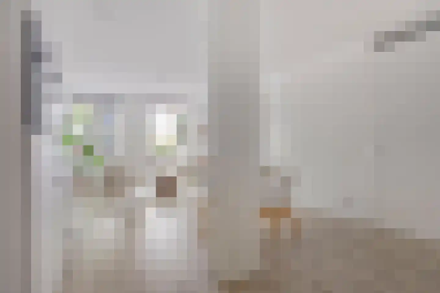 Kruisstraat 136 Oss thumbnail 9