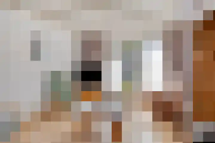 Kruisstraat 14 Duizel thumbnail 9
