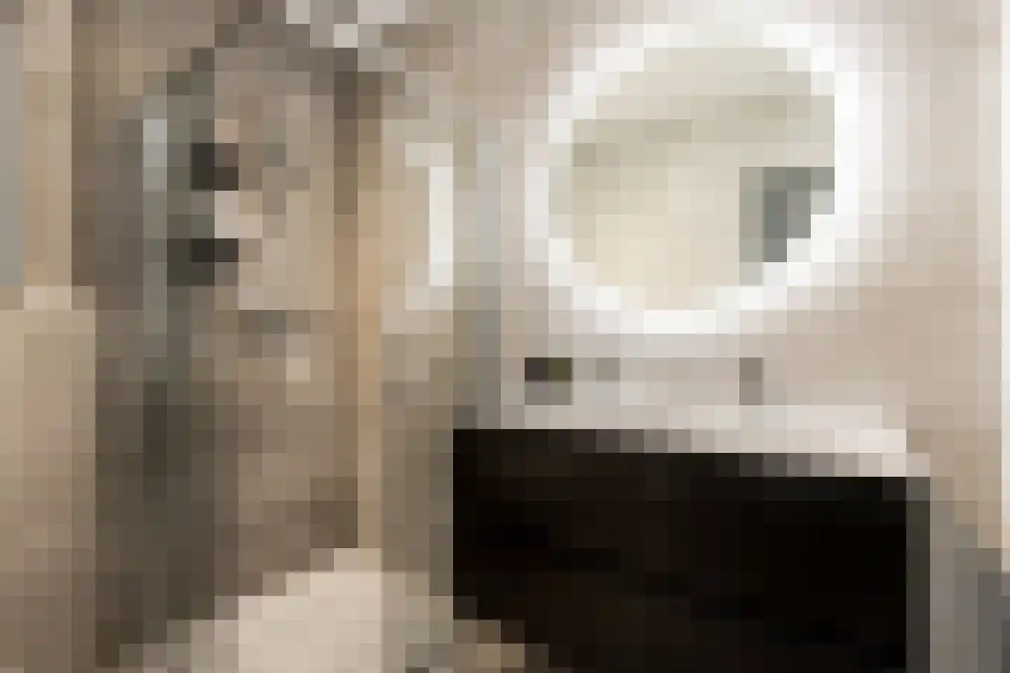 Kruisstraat 14 Kerkdriel thumbnail 27