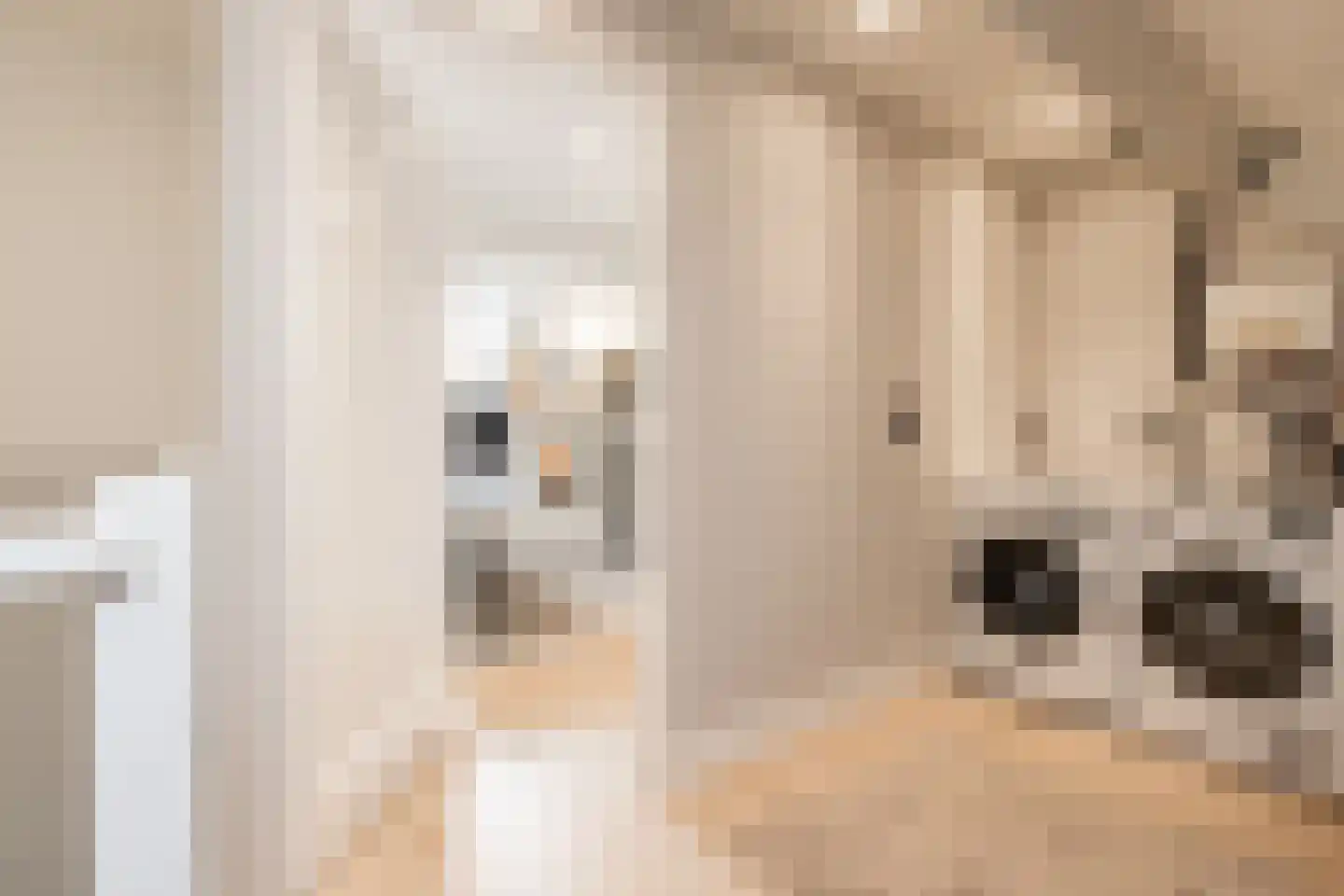Kruisstraat 14 Kerkdriel thumbnail 31
