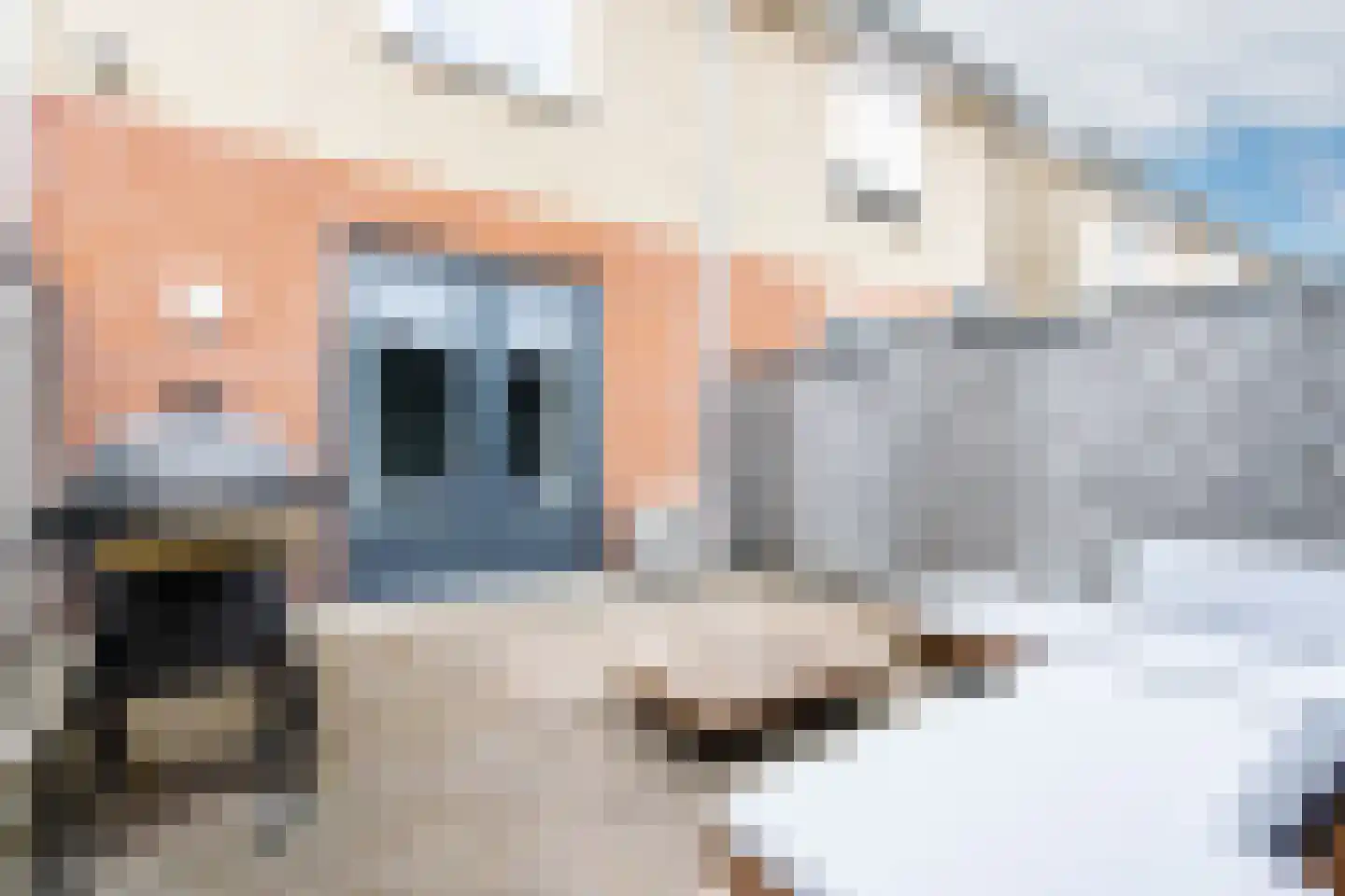 Kruisstraat 14 Kerkdriel thumbnail 37