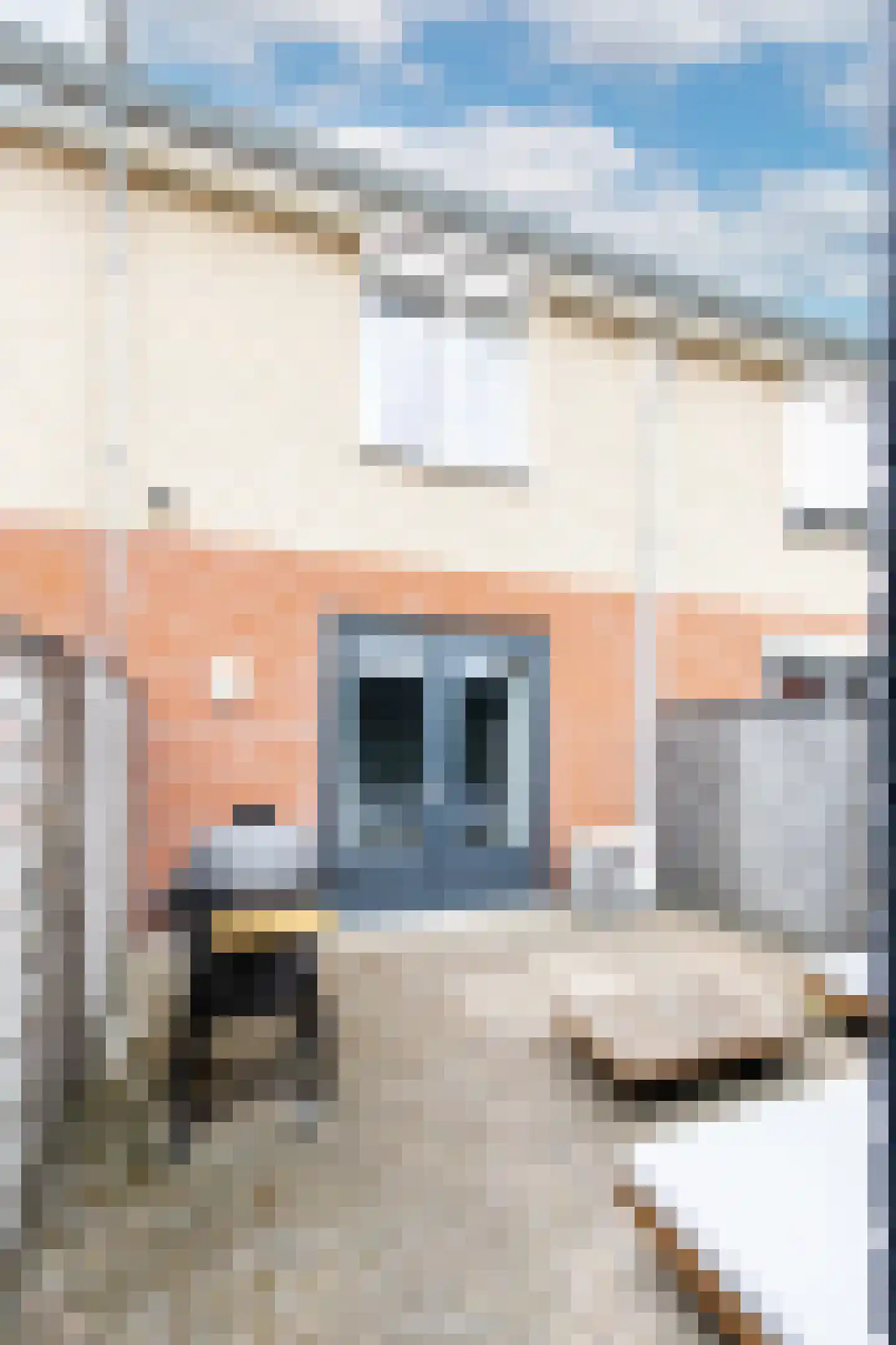 Kruisstraat 14 Kerkdriel thumbnail 39