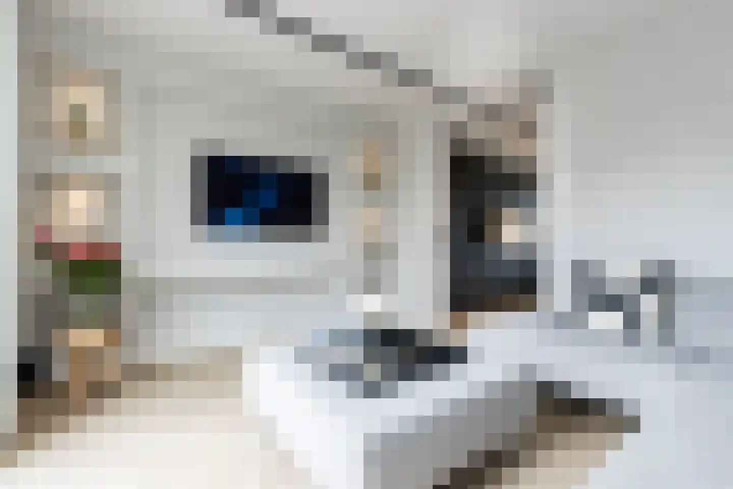 Kruisstraat 14 Kerkdriel thumbnail 4
