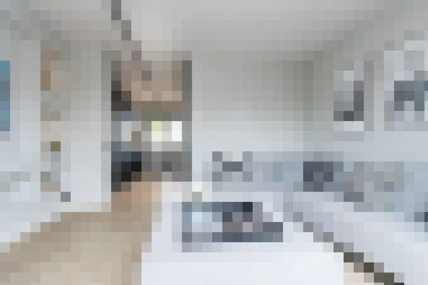 Kruisstraat 14 Kerkdriel thumbnail 5