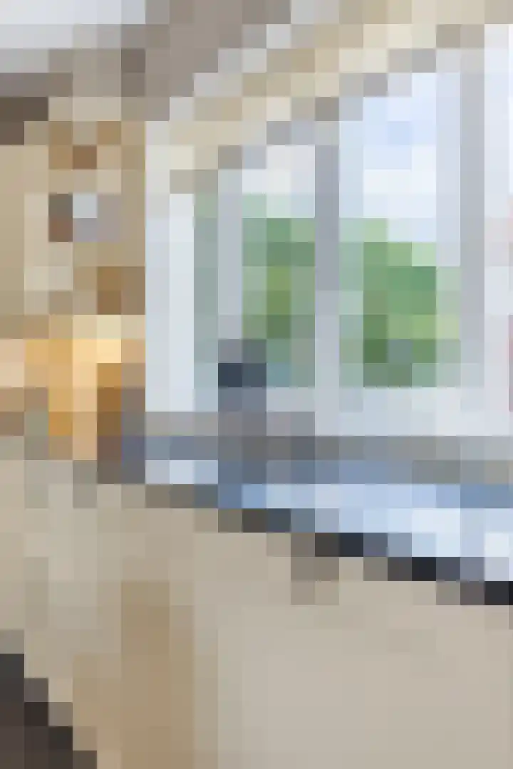 Kruisstraat 14 Krommenie thumbnail 15