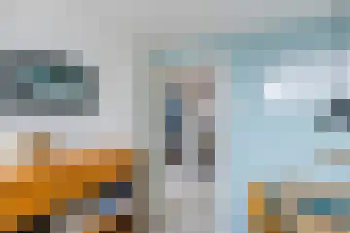 Kruisstraat 14 Krommenie thumbnail 18