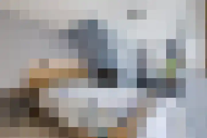 Kruisstraat 14 Krommenie thumbnail 20