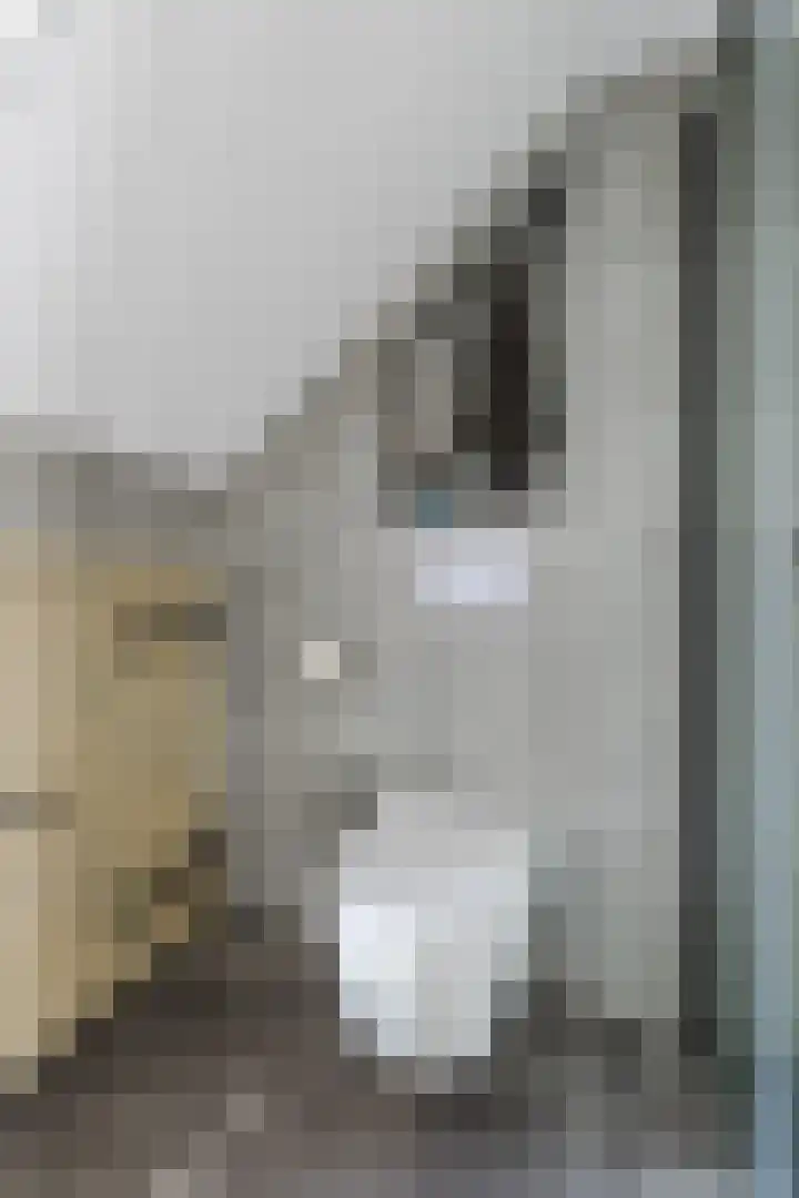 Kruisstraat 14 Krommenie thumbnail 26