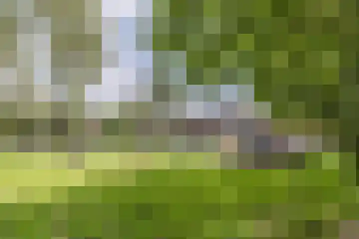 Kruisstraat 14 Krommenie thumbnail 34