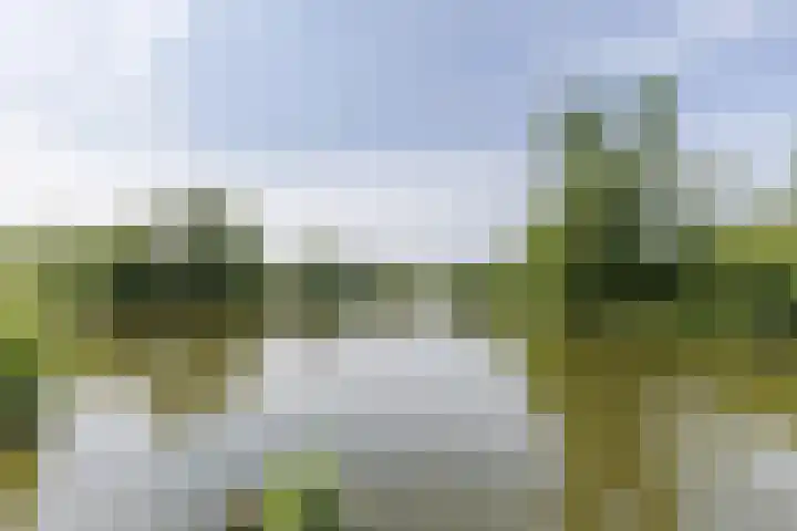 Kruisstraat 14 Krommenie thumbnail 35