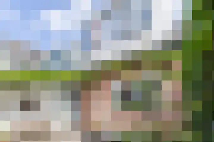 Kruisstraat 14 Krommenie thumbnail 4