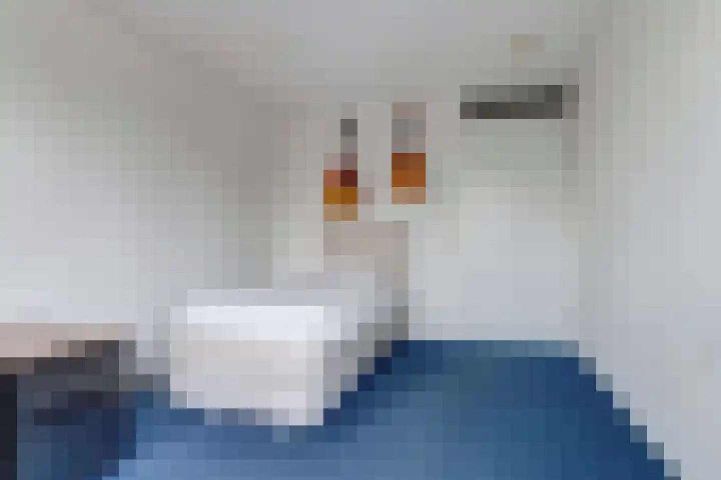 Kruisstraat 14 Reusel thumbnail 22