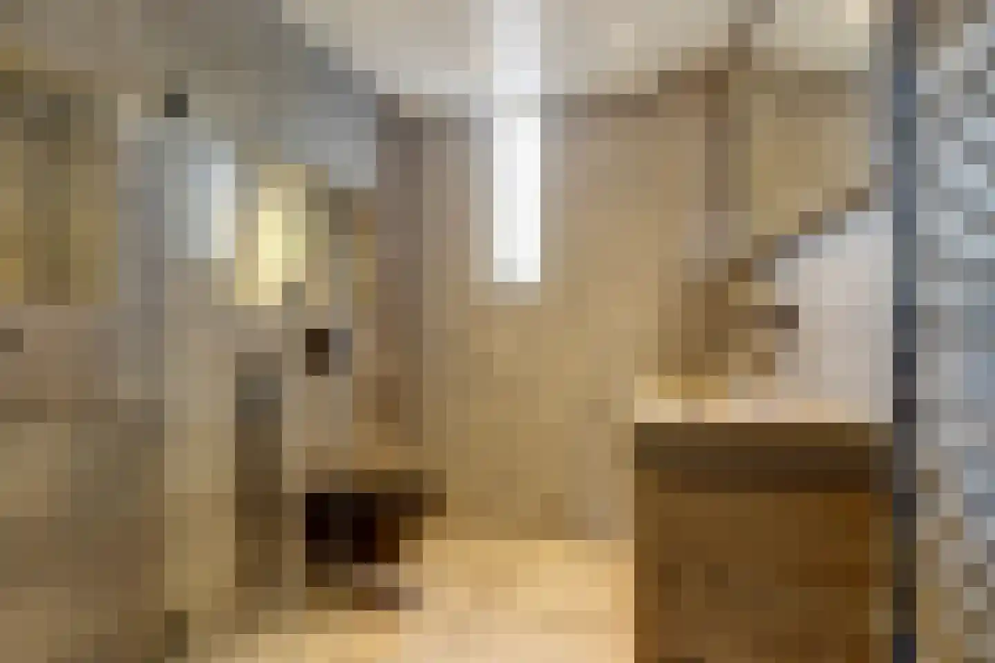 Kruisstraat 14 Reusel thumbnail 28