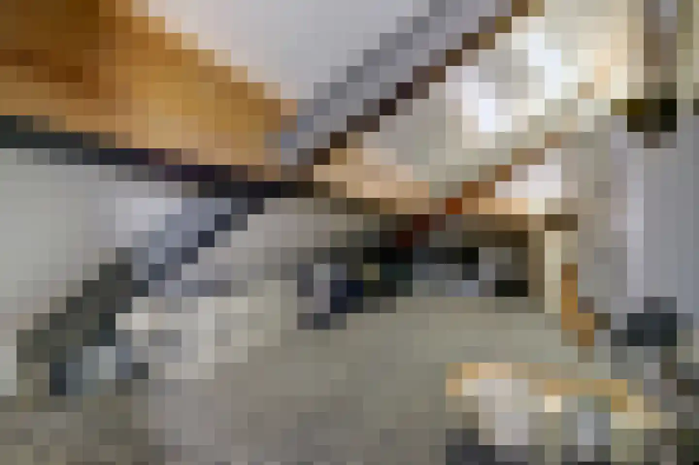 Kruisstraat 14 Reusel thumbnail 30