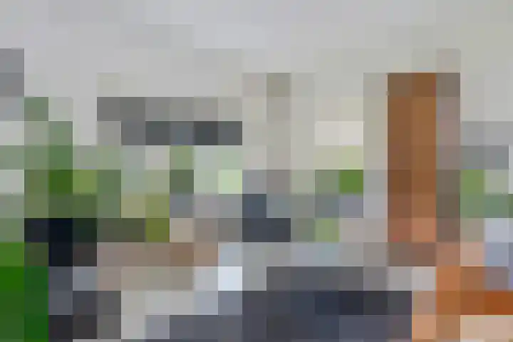 Kruisstraat 15 Zweeloo thumbnail 10