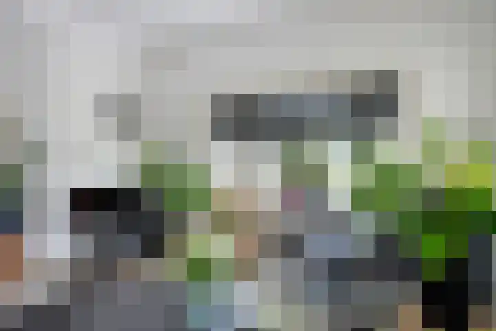 Kruisstraat 15 Zweeloo thumbnail 11