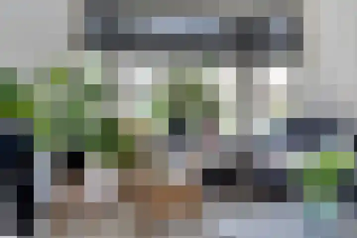 Kruisstraat 15 Zweeloo thumbnail 12