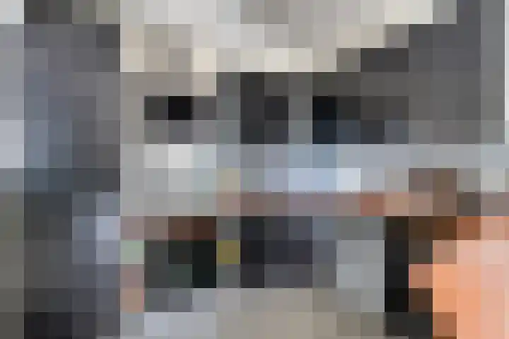 Kruisstraat 15 Zweeloo thumbnail 18