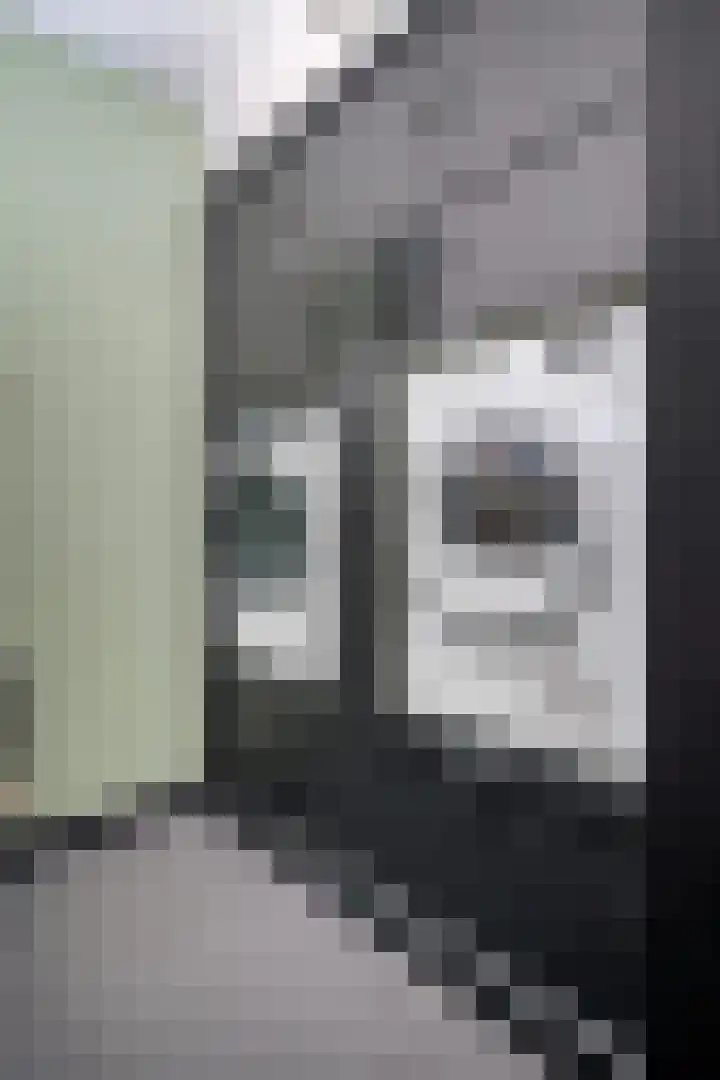 Kruisstraat 15 Zweeloo thumbnail 23