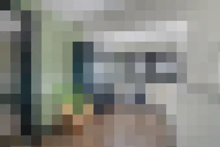 Kruisstraat 15 Zweeloo thumbnail 29