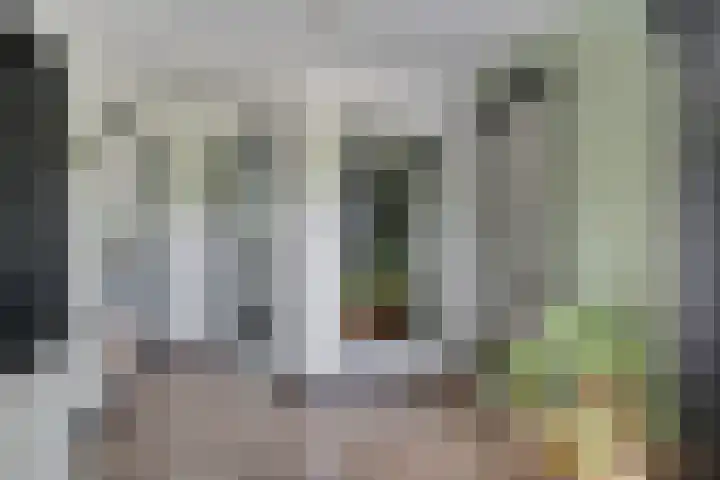 Kruisstraat 15 Zweeloo thumbnail 30