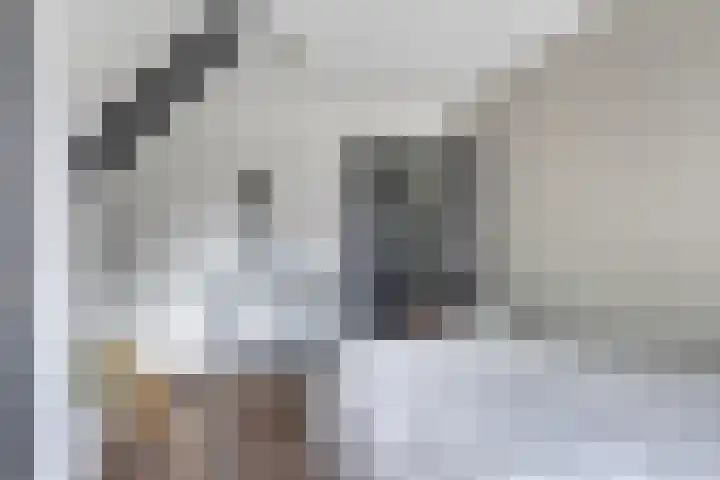 Kruisstraat 15 Zweeloo thumbnail 34