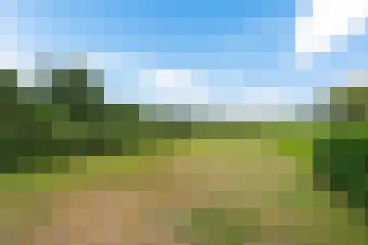 Kruisstraat 15 Zweeloo thumbnail 4